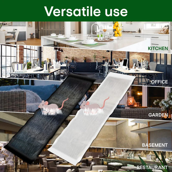 2025 Duża lepka pułapka na myszy