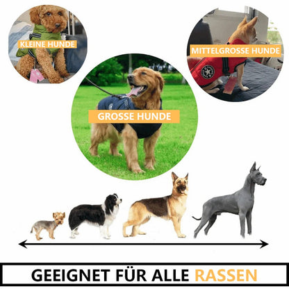 🎁🎄Zimowa ciepła wodoodporna kurtka dla psa z szelkami🐩