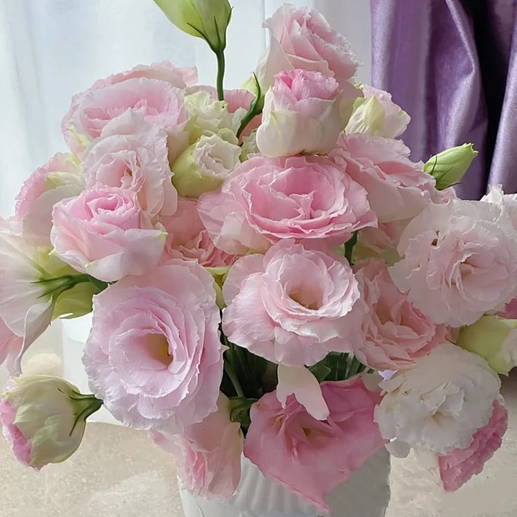 🔥Ostatni dzień wyprzedaży💝Eustoma Thornless Rose💐Lisianthus Seeds